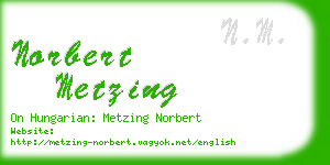 norbert metzing business card